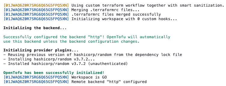 run logs with offline init step