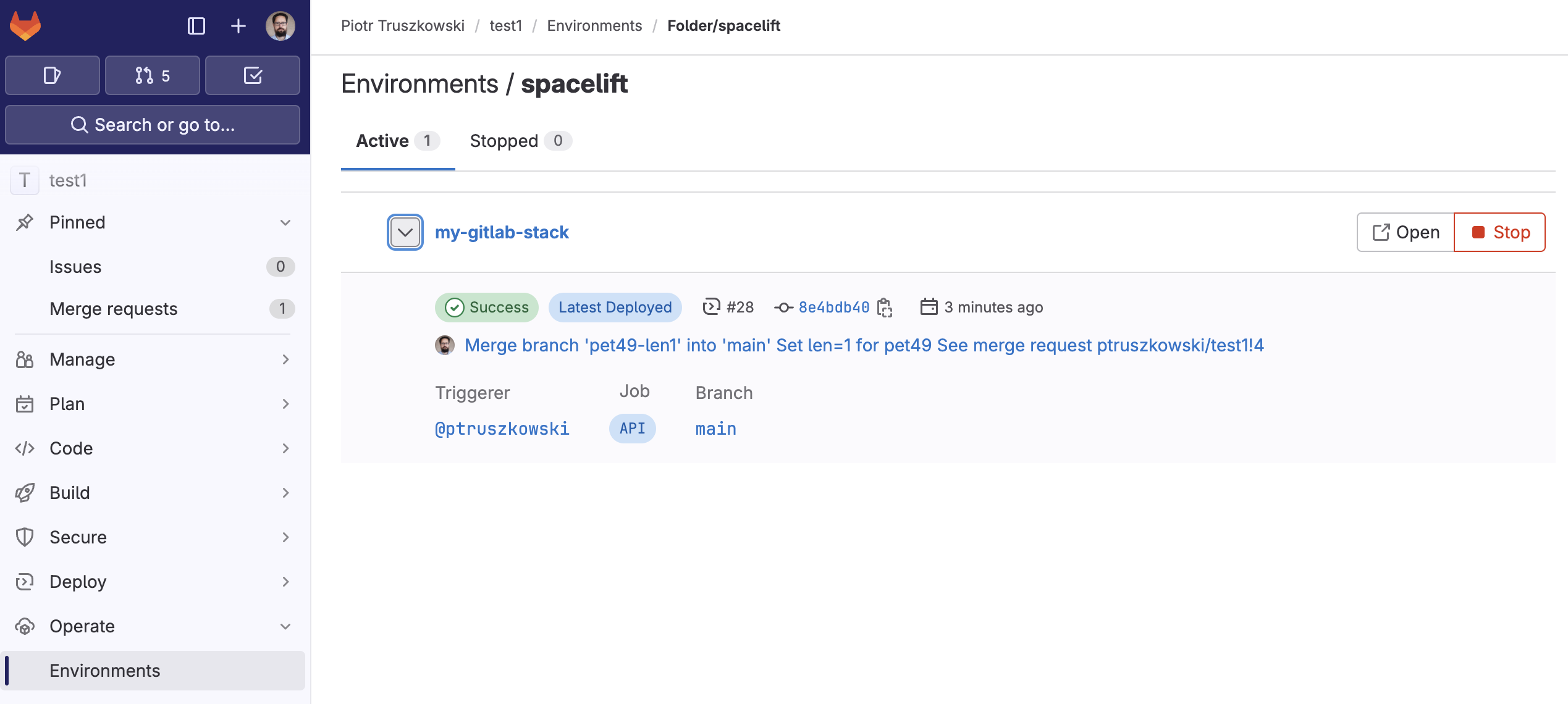 Successful run in GitLab