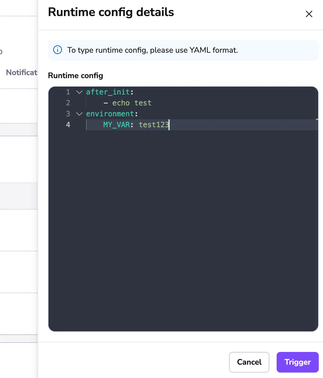 Runtime config details