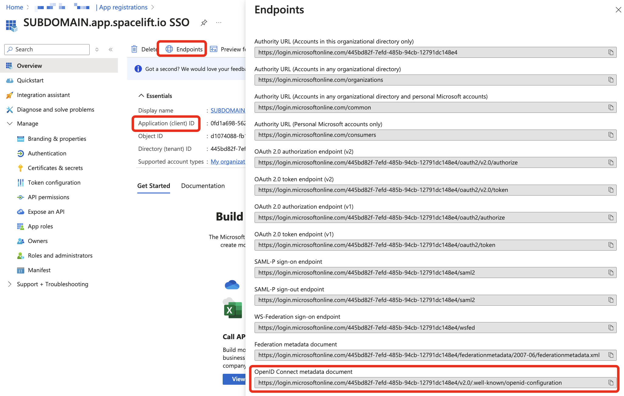 Copy client ID and provider URL